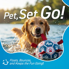 QDAN water-ready ball floats for pool or lake play.