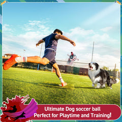 QDAN ball featuring long straps for easy grip and toss