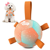 QDAN small dog ball with straps in rainbow orange for lively outdoor fetch