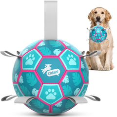 QDAN dog soccer ball for fetch and energy release.