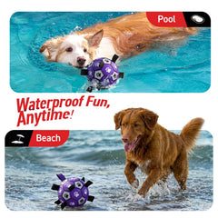 QDAN dog ball toy designed for water play at pool or beach