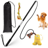 Qeoval Flirt Pole collapsible design for easy transport and storage