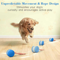 QGI Interactive Dog Ball with rope attachment boosts interactive fetch and tug play.