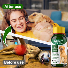 QIFEISHANKA digestive cleanser treatment highlights gut balance support for dogs