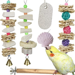 Qimilenzy parrot chews cuttlebone hanging toy for safe enrichment and beak care