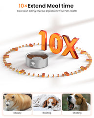 Qiuma 2-cup capacity bowl suited for small to medium dogs during meals.