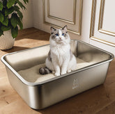 Qiuma stainless steel litter box front view with spacious interior for small to medium cats.