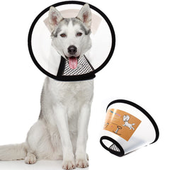 QIYADIN recovery cone in soft plastic supports post-surgery pets.