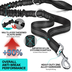Qltytoy anti-break design with heavy-duty clips keeps two dogs secure