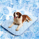 QOKO cooling mat on dog bed offers cool, comfortable rest for hot days.