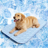 QOKO dog cooling mat with ice silk fabric provides cool comfort for large dogs on hot days.