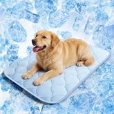 QOKO Dog Cooling Mat with ice silk fabric provides cooling comfort.