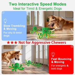 Qraxond Octopus in red mode delivers energetic bouncing for enthusiastic dogs