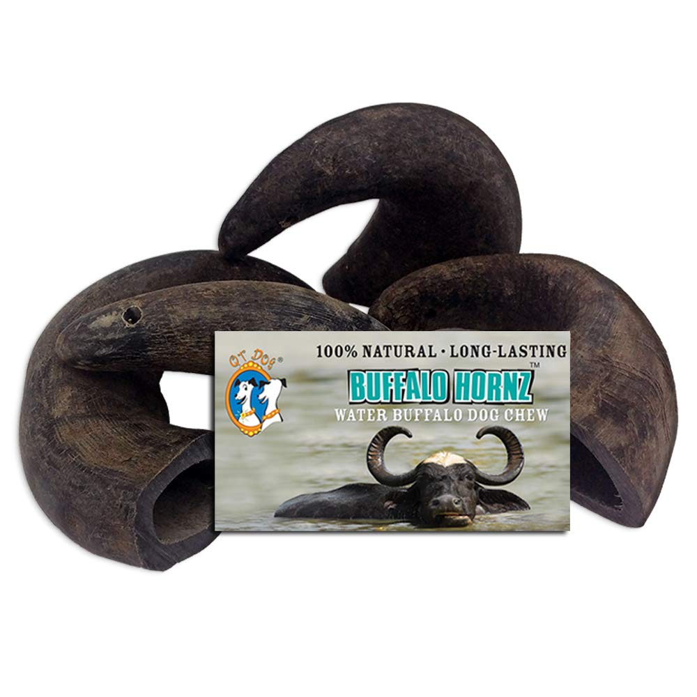 QT Dog Buffalo Hornz front view: durable, single-ingredient chews for small breeds.