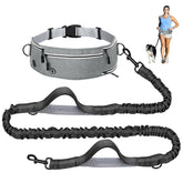 QUAN DUO DUO hands-free dog leash with zipper pouch during a run for hands-free convenience.