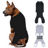 QUEARN breathable cotton recovery suit worn on a dog for comfortable post-surgery protection.
