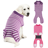 QUEARN breathable cotton dog recovery suit in action protects wounds