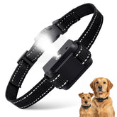 Queenmew citronella bark collar front view for indoor training