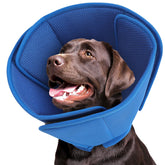 Queenmore soft dog cone in blue protects wounds while keeping pets comfortable.
