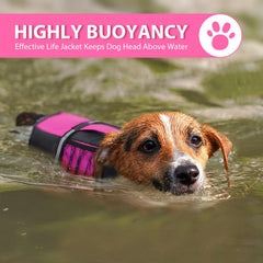 Queenmore life jacket leash ring adds safety and control