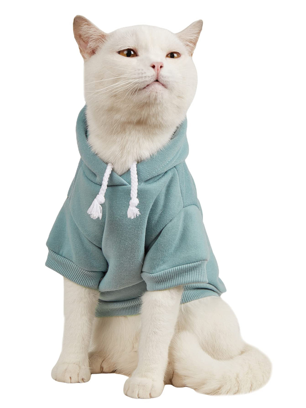 QWINEE Basic dog hoodie in cadet blue provides cozy warmth for small breeds.