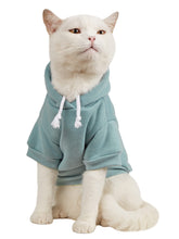 QWINEE Basic dog hoodie front view in cadet blue for warmth and style.