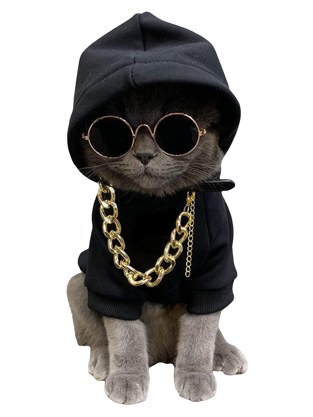 QWINEE dog hoodie with necklace and sunglasses for cute outdoor looks.