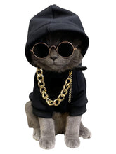 QWINEE dog hoodie with necklace and sunglasses for cute outdoor looks.