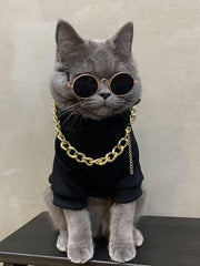 QWINEE pet costume set showcases hoodie and accessories for easy dress-up.