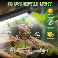 Close-up of QZQ T5 UVB light reflector showing high-output UVB and UVA for basking.