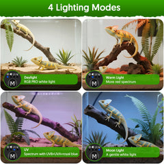 QZQ UVB reptile lamp warm light mode enhances color and daytime behavior