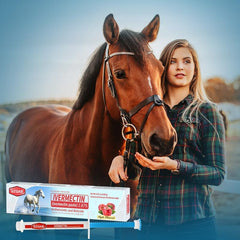 QZQAB horse wormer paste syringe ready for simple administration