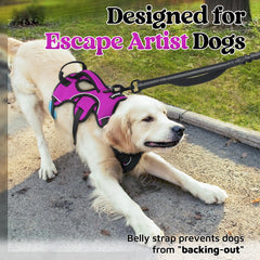Rabbitgoo 5-adjustable-straps harness ensures snug fit for growing large dogs.