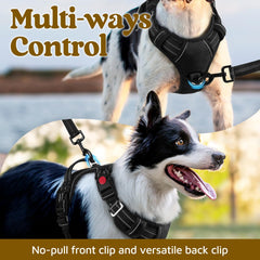 Rabbitgoo adjustable harness with four sliders for a tailored fit