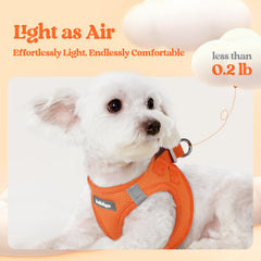 Rabbitgoo breathable mesh harness in small size keeping your dog cool on walks.