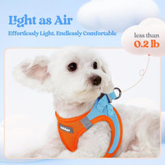 Breathable mesh harness keeps small dogs cool on walks.