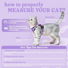 Rabbitgoo breathable air-mesh keeps your cat cool on walks.