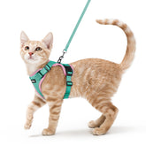 Rabbitgoo cat harness with back D-ring provides secure leash control during outdoor walks
