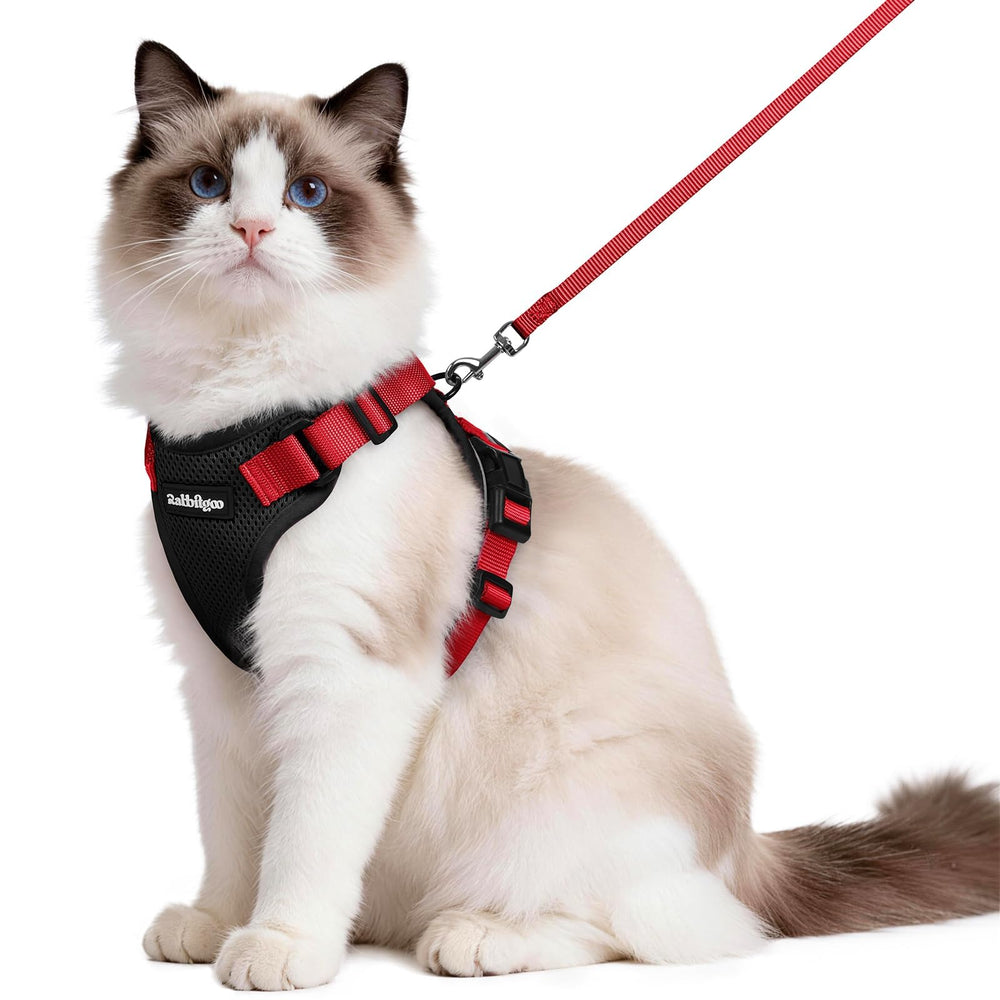 Rabbitgoo cat harness with back D-ring for secure leash control during outdoor strolls.
