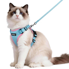 Rabbitgoo cat harness with back D-ring for secure outdoor walks