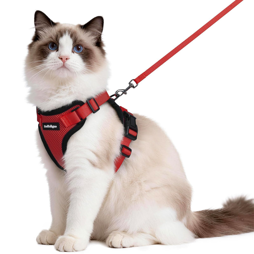 Rabbitgoo cat harness back D-ring for secure leash control during outdoor walks.