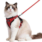 Rabbitgoo cat harness back D-ring for secure leash control during outdoor walks.