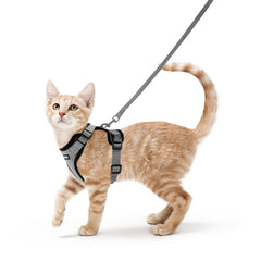 Rabbitgoo cat harness back D-ring ensures secure leash control during walks.