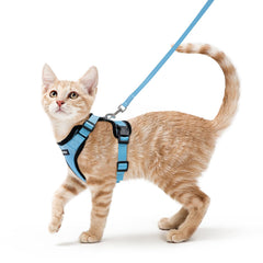 Rabbitgoo cat harness with back D-ring for secure leash control during outdoor walks.