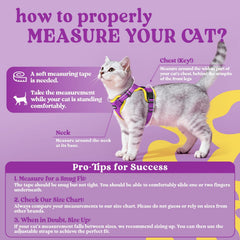 Rabbitgoo cat harness back D-ring detail for reliable control.