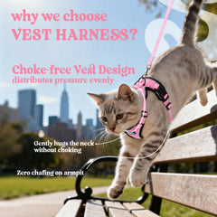 Rabbitgoo cat-harness back D-ring offers reliable leash control