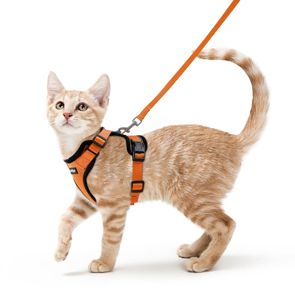 Rabbitgoo cat harness with back D-ring for secure leash control