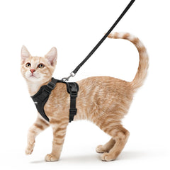 Rabbitgoo cat harness back D-ring for secure leash control during outdoor walks.