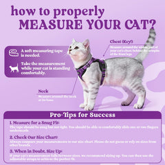 Rabbitgoo cat harness breathable air mesh keeps your cat cool on sunny walks.