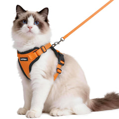 Rabbitgoo cat harness in breathable vest for comfortable outdoor strolls.